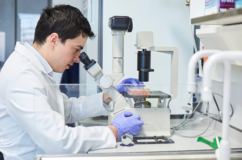 Researcher working with a microscope